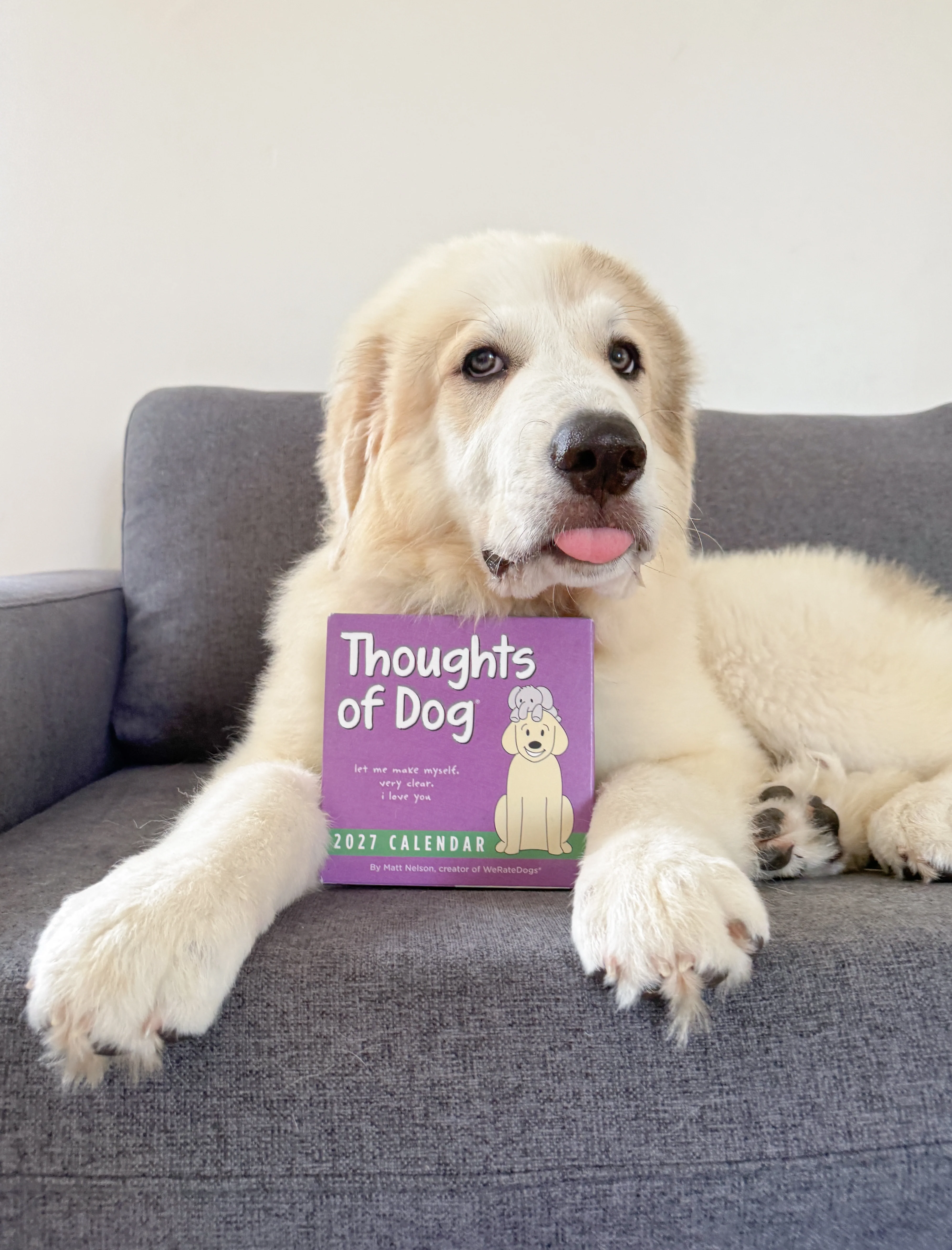 2027 Thoughts of Dog Day-to-Day Calendar - Image 5