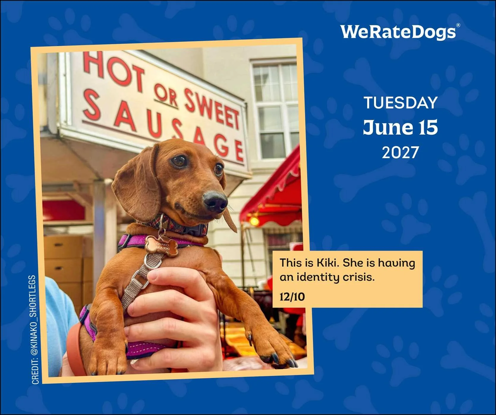 2027 WeRateDogs Day-to-Day Calendar - Image 3