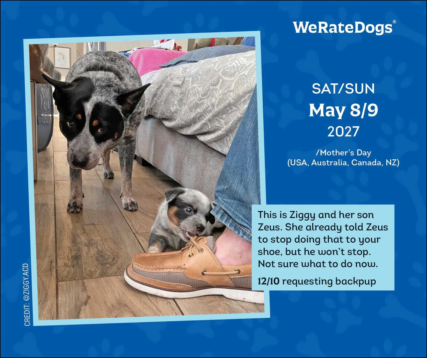 2027 WeRateDogs Day-to-Day Calendar - Image 4