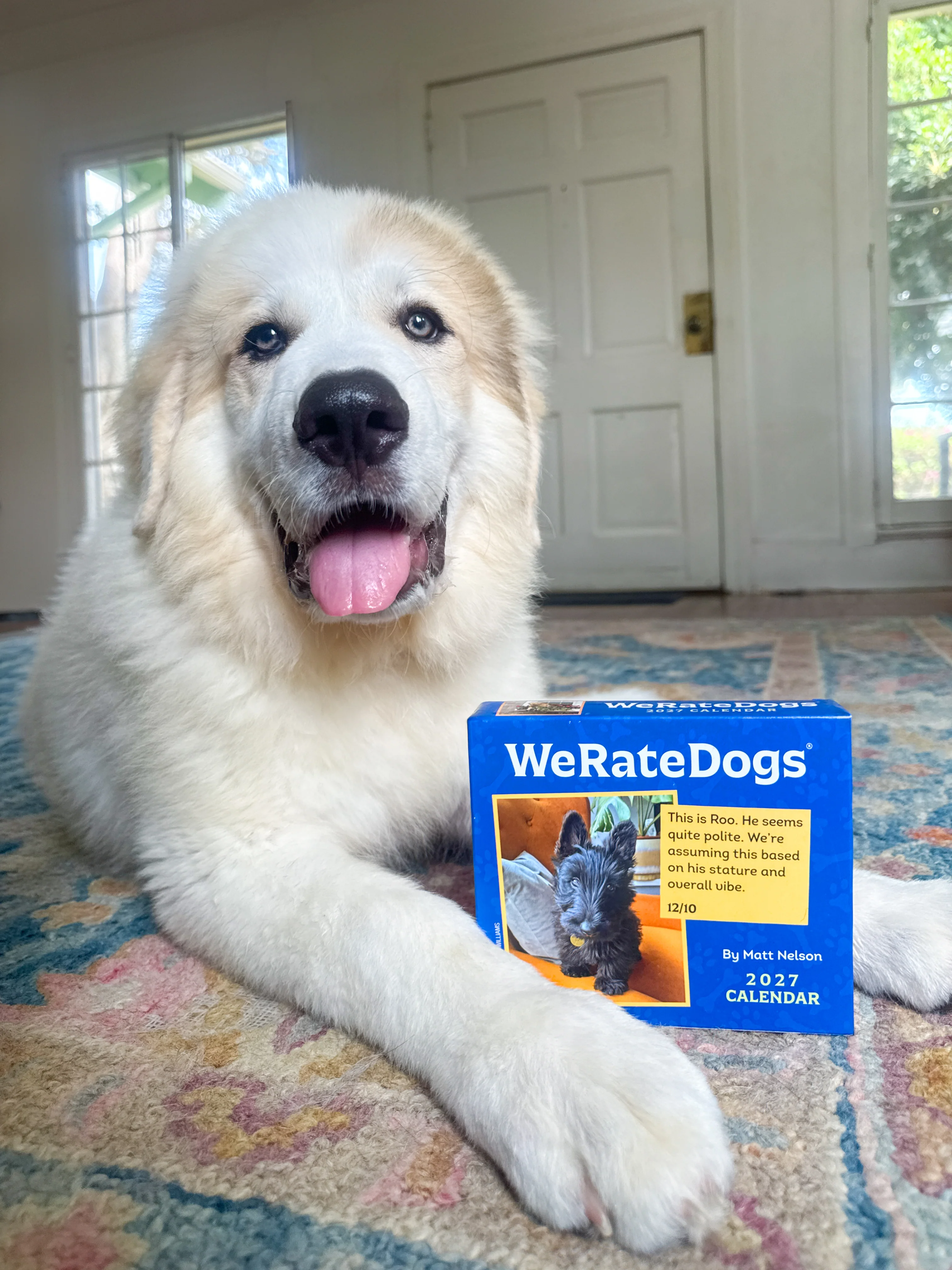 2027 WeRateDogs Day-to-Day Calendar - Image 5
