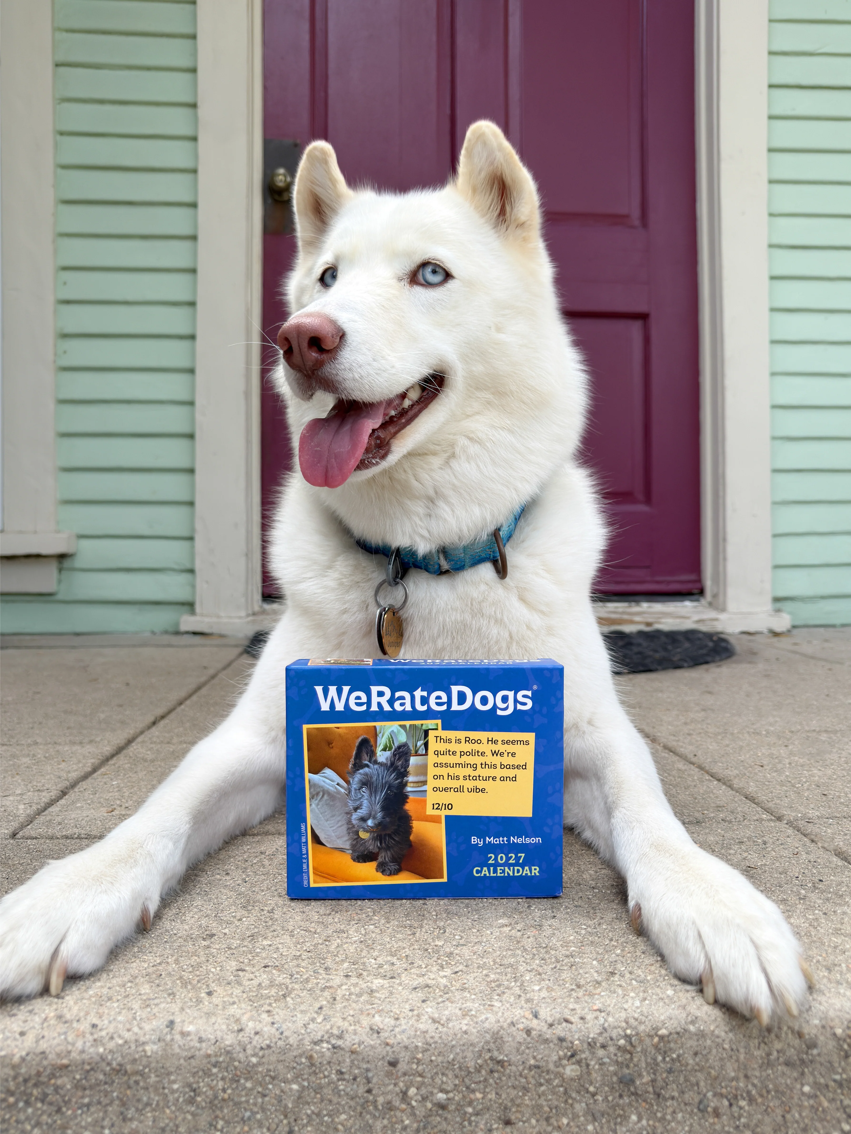 2027 WeRateDogs Day-to-Day Calendar - Image 6