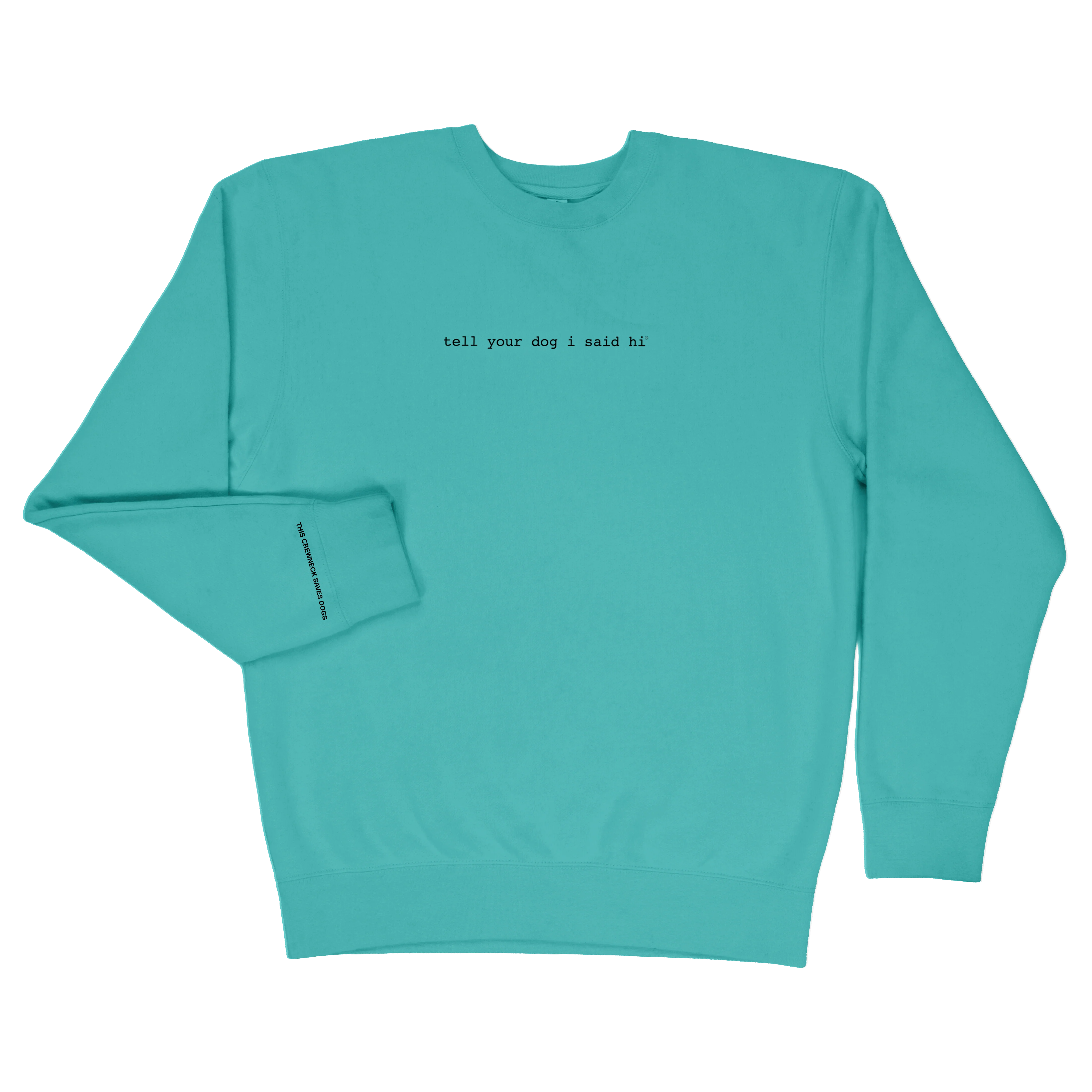 Classic Crewneck - Spring Teal