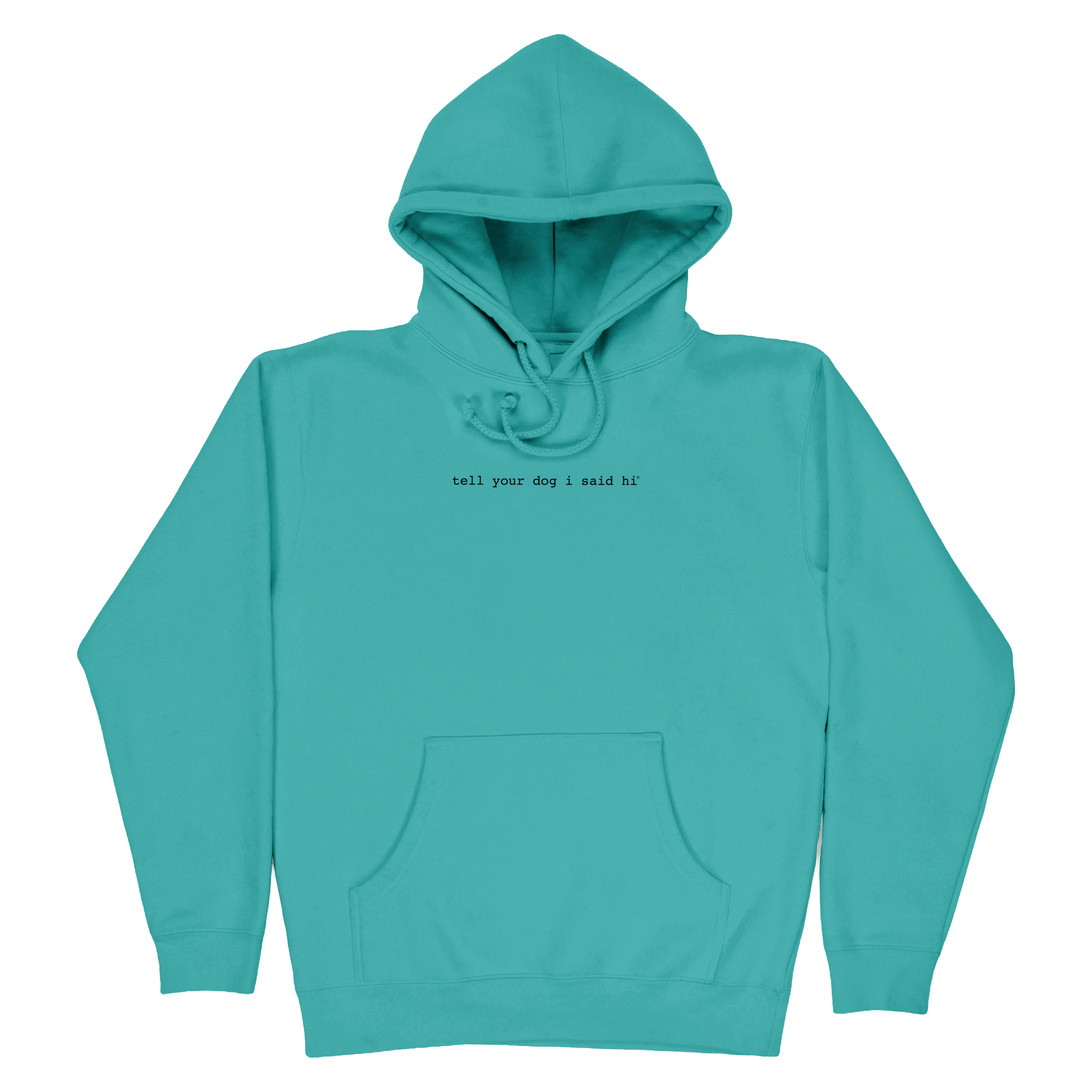 Classic Hoodie - Spring Teal