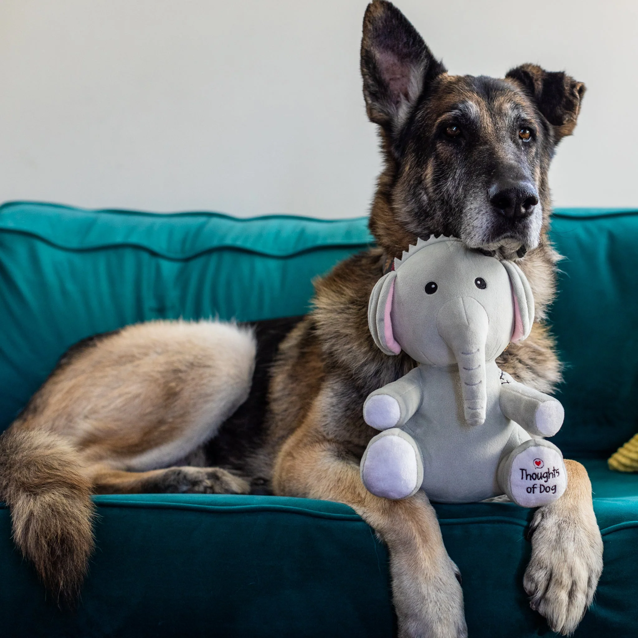 Stuffed Fren Sebastian - Image 4