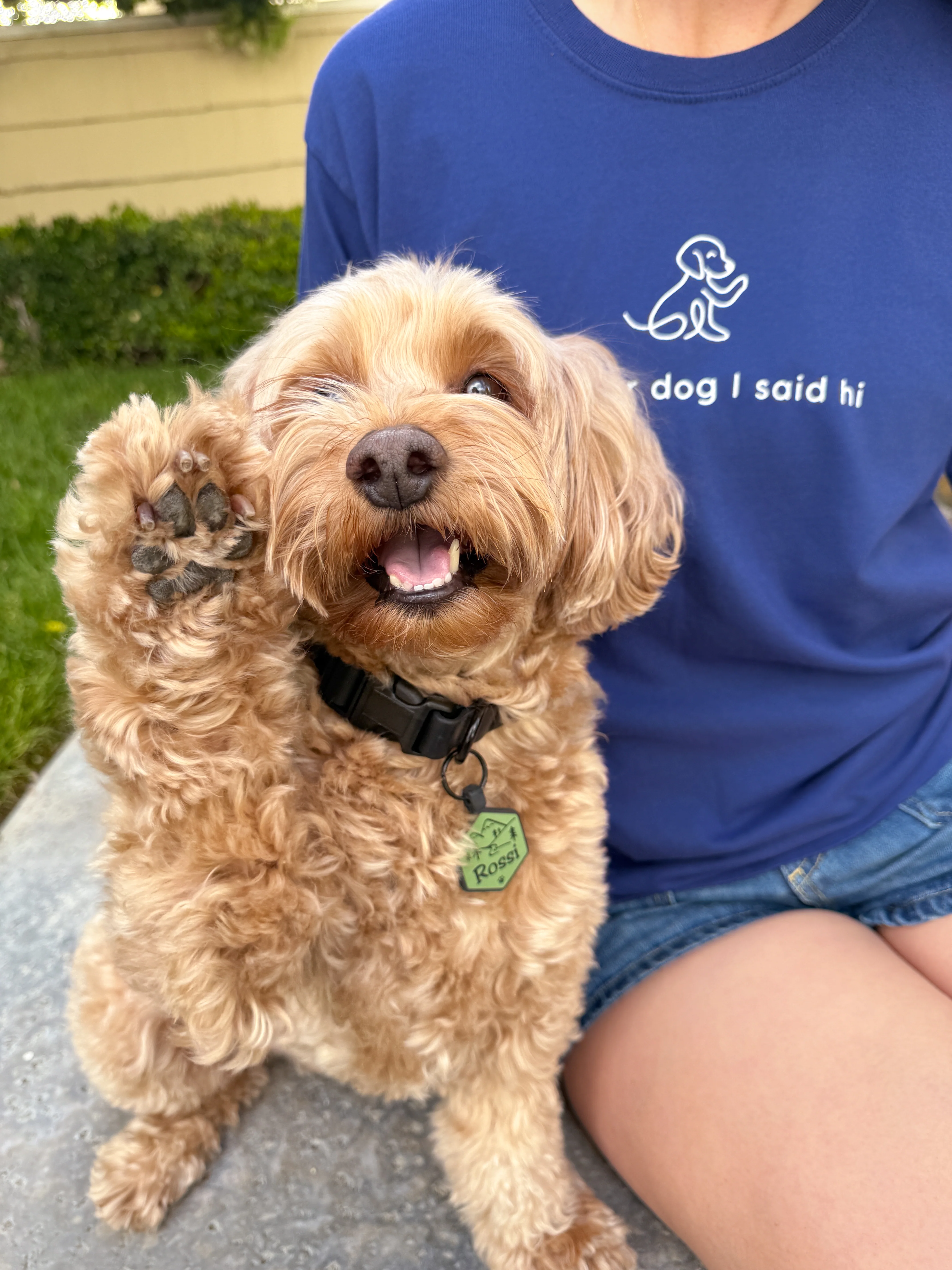 Waving Dog Tee - Image 10